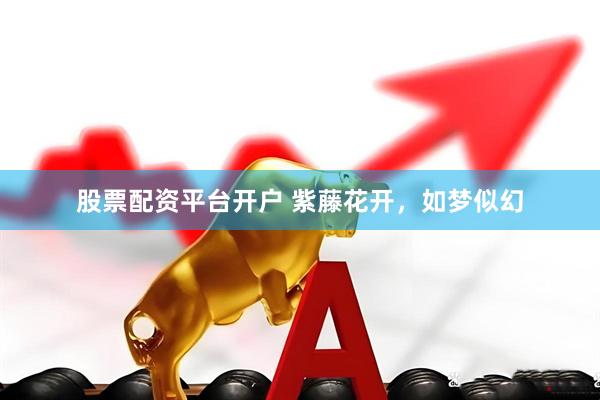 股票配资平台开户 紫藤花开，如梦似幻