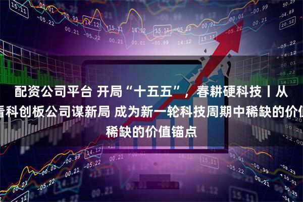 配资公司平台 开局“十五五”，春耕硬科技丨从年报看科创板公司谋新局 成为新一轮科技周期中稀缺的价值锚点